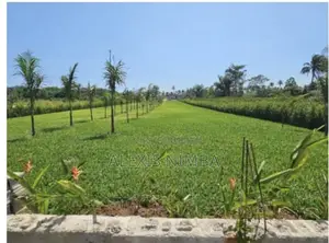 Vente Terrain Baie Des Milliardaires Île Boulay Audoin 3500m2 Doc CPF