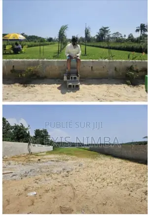 Vente Terrain Baie Des Milliardaires Île Boulay Audoin 3500m2 Doc CPF