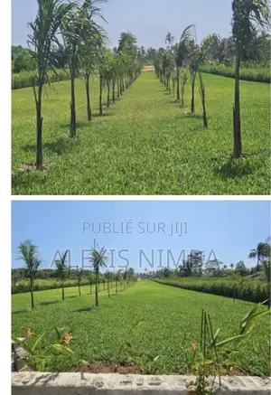 Vente Terrain Baie Des Milliardaires Île Boulay Audoin 3500m2 Doc CPF