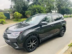 Toyota RAV4 LE AWD (2.5L 4cyl 6A) 2017 Gris