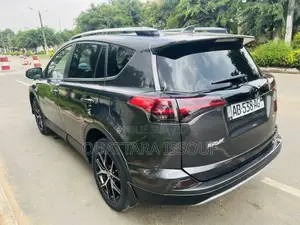 Toyota RAV4 LE AWD (2.5L 4cyl 6A) 2017 Gris