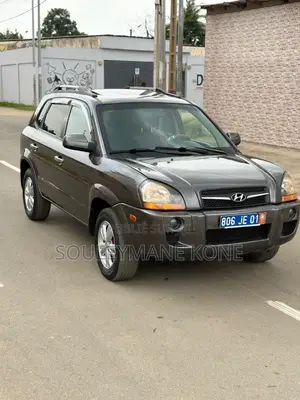 Hyundai Tucson 2009 Gris