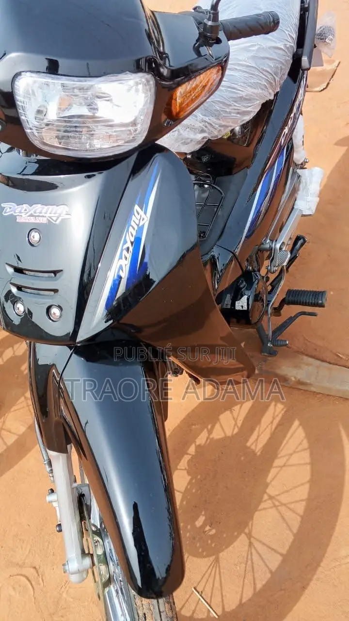 Nouveau Dayang DY110-12N 2022 Autre