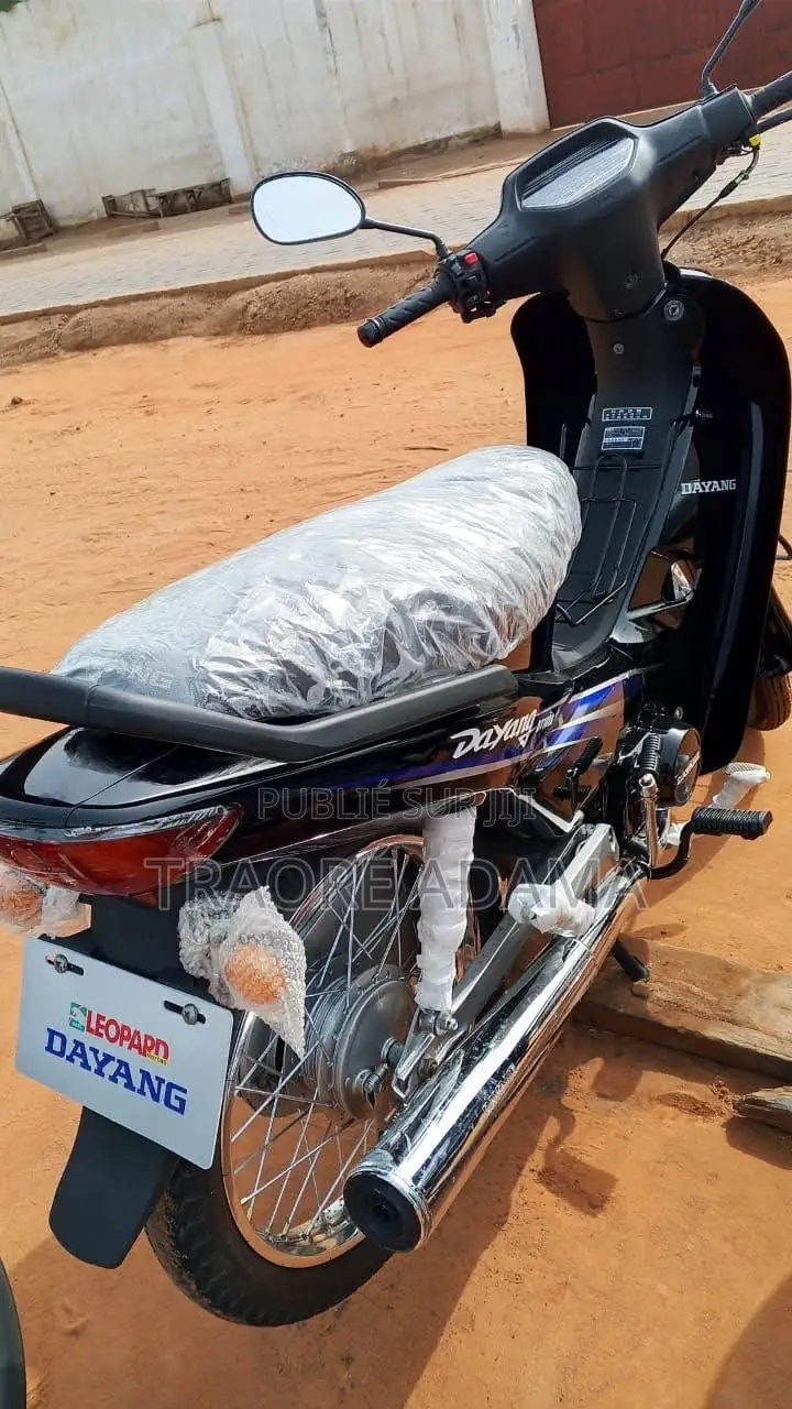 Nouveau Dayang DY110-12N 2022 Autre