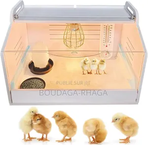 Incubateur Automatique Pour Poussins