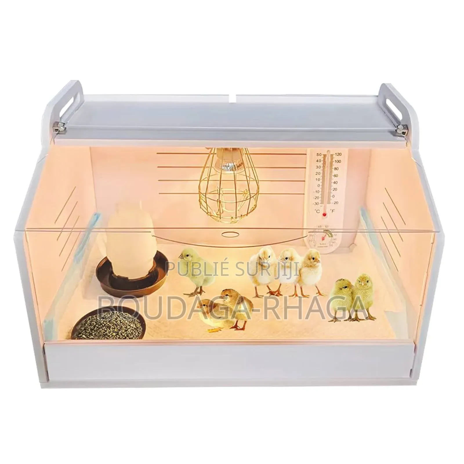 Incubateur Automatique Pour Poussins