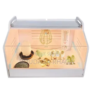 Incubateur Automatique Pour Poussins