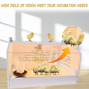 Incubateur Automatique Pour Poussins