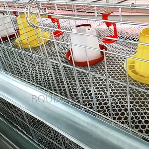 Cages Pondeuses Professionnelles – Boostez Votre Production D’Œufs