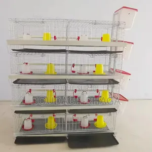 Cages Pondeuses Professionnelles – Boostez Votre Production D’Œufs