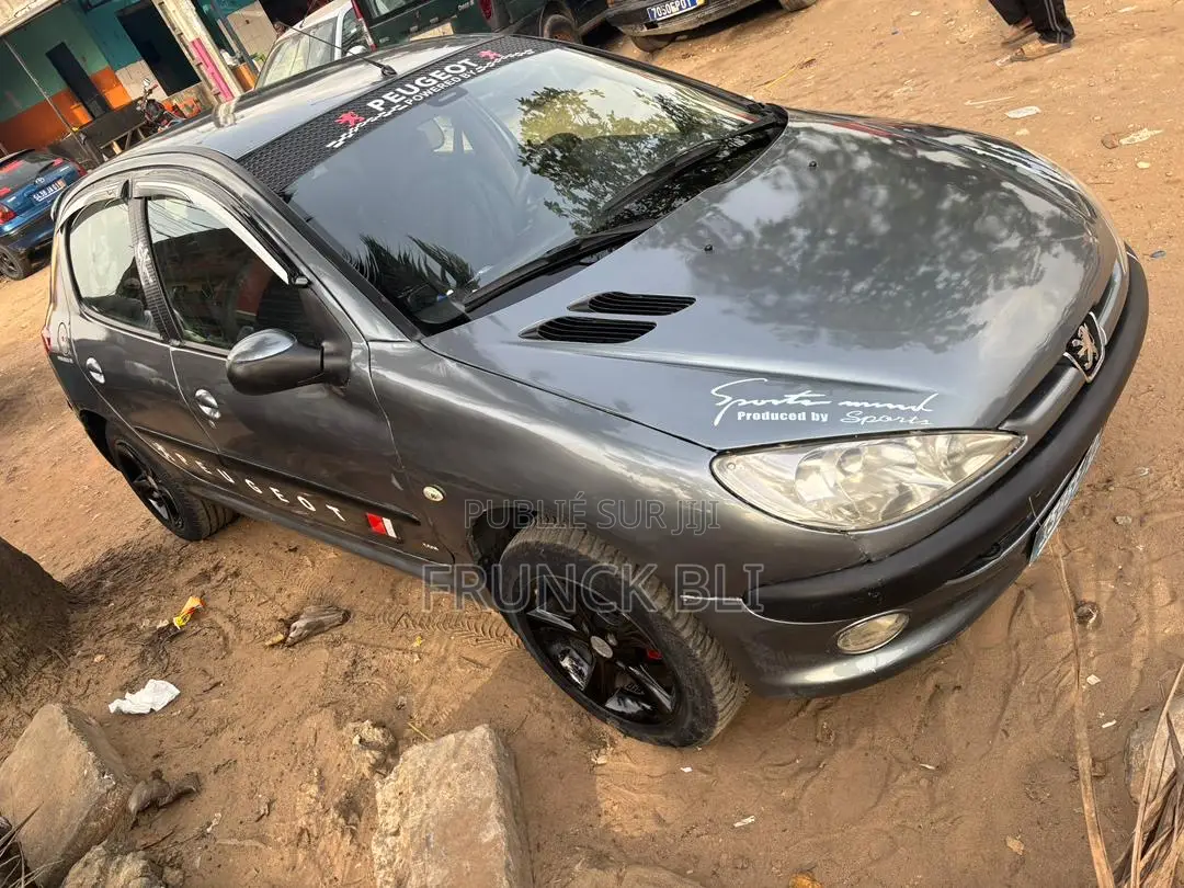 Peugeot 206 1.4 D 2002 Gris