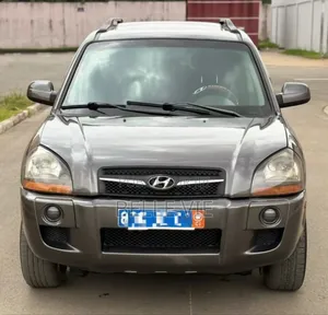 Hyundai Tucson 2007 Beige