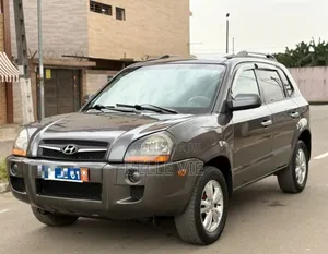 Hyundai Tucson 2007 Beige