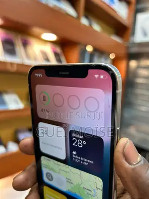 Nouveau Apple iPhone 12 Pro 256 GB Bleu