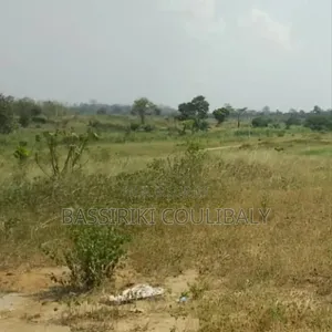 Terrain Disponible À Yamoussoukro, Sahabo