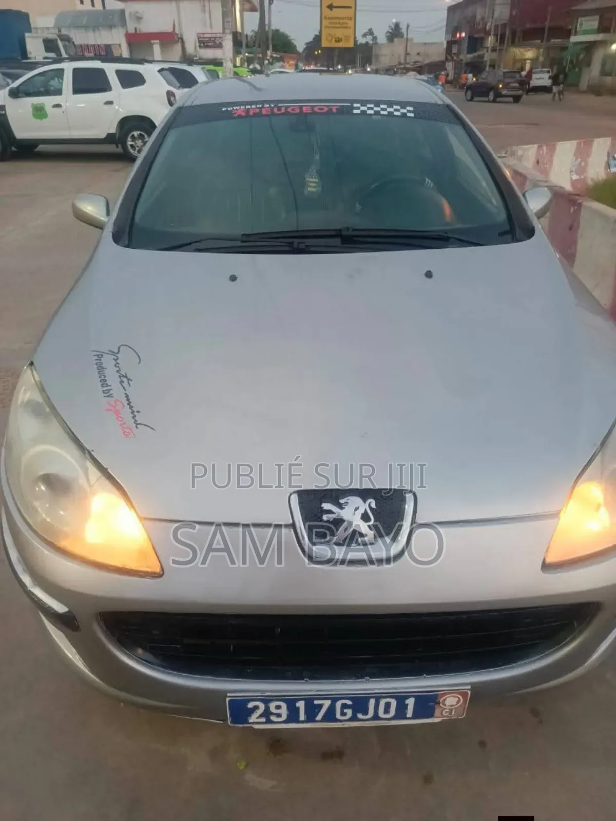 Peugeot 407 2003 Gris