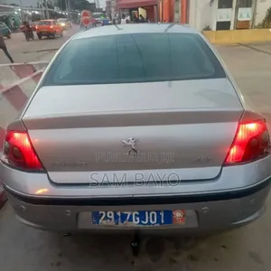 Peugeot 407 2003 Gris