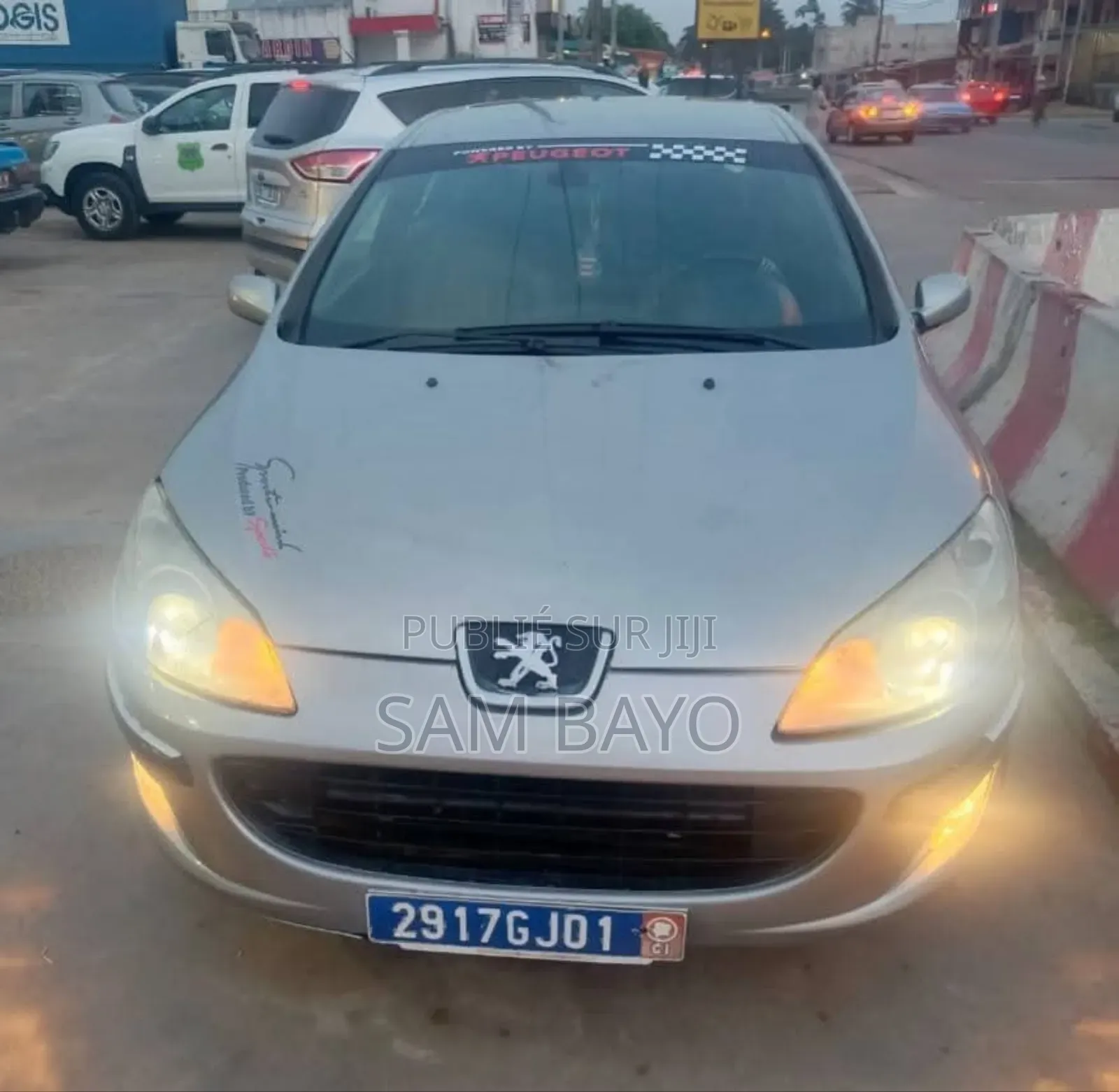 Peugeot 407 2003 Gris