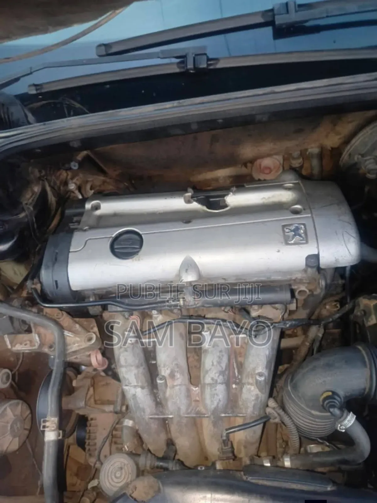 Peugeot 407 2003 Gris