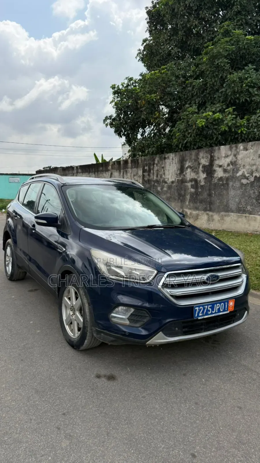 Ford Escape 2019 Bleu