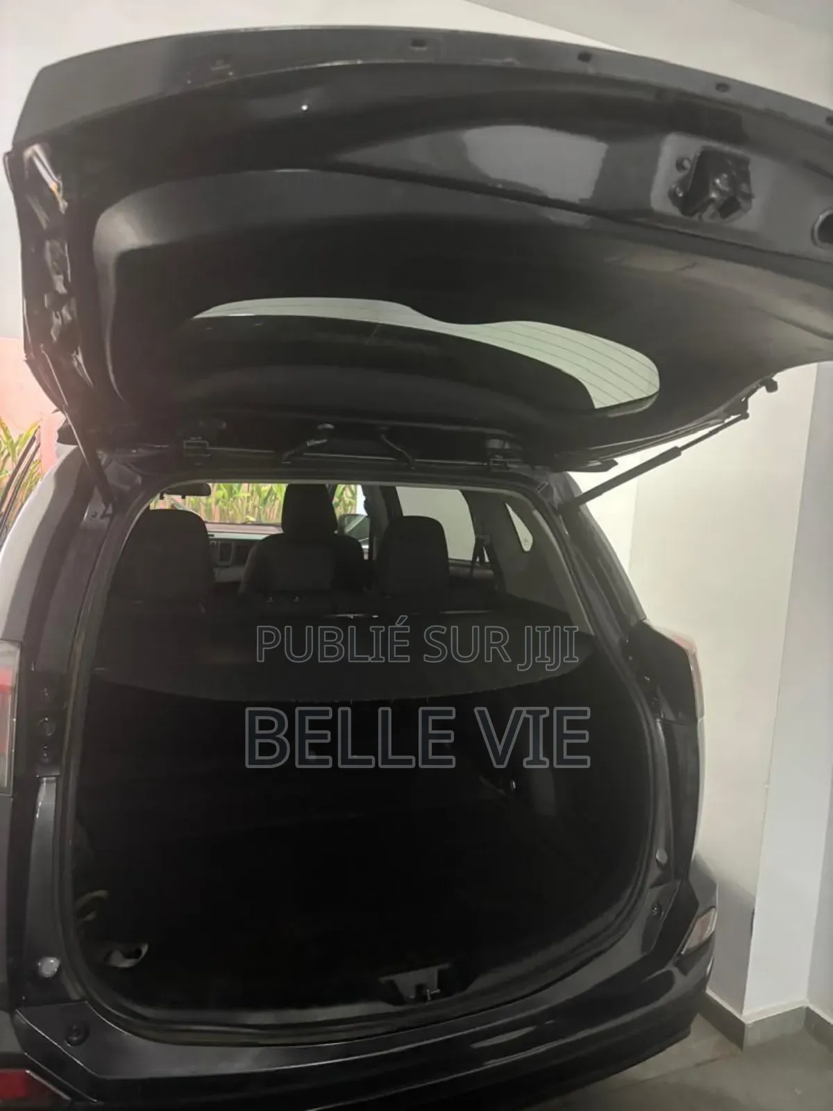 Toyota RAV4 Limited 4dr SUV (2.5L 4cyl 6A) 2018 Beige