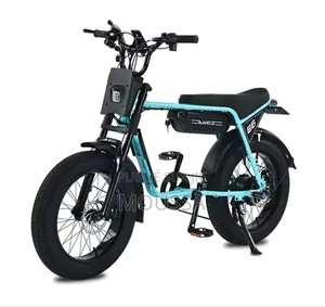 Big Dog Bull Dog 2023 Noir