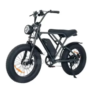 Big Dog Bull Dog 2023 Noir