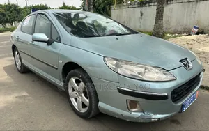 Peugeot 407 2004 Bleu