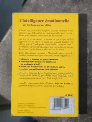l'Intelligence Émotionnelle