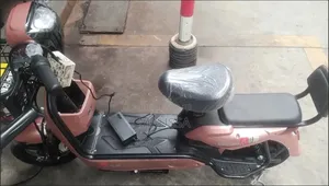 Nouveau TVS HLX 125 2026 Doré