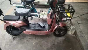 Nouveau TVS HLX 125 2026 Doré