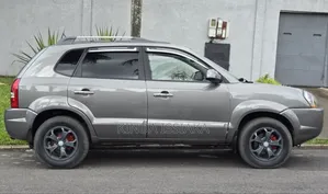 Hyundai Tucson 2009 Gris