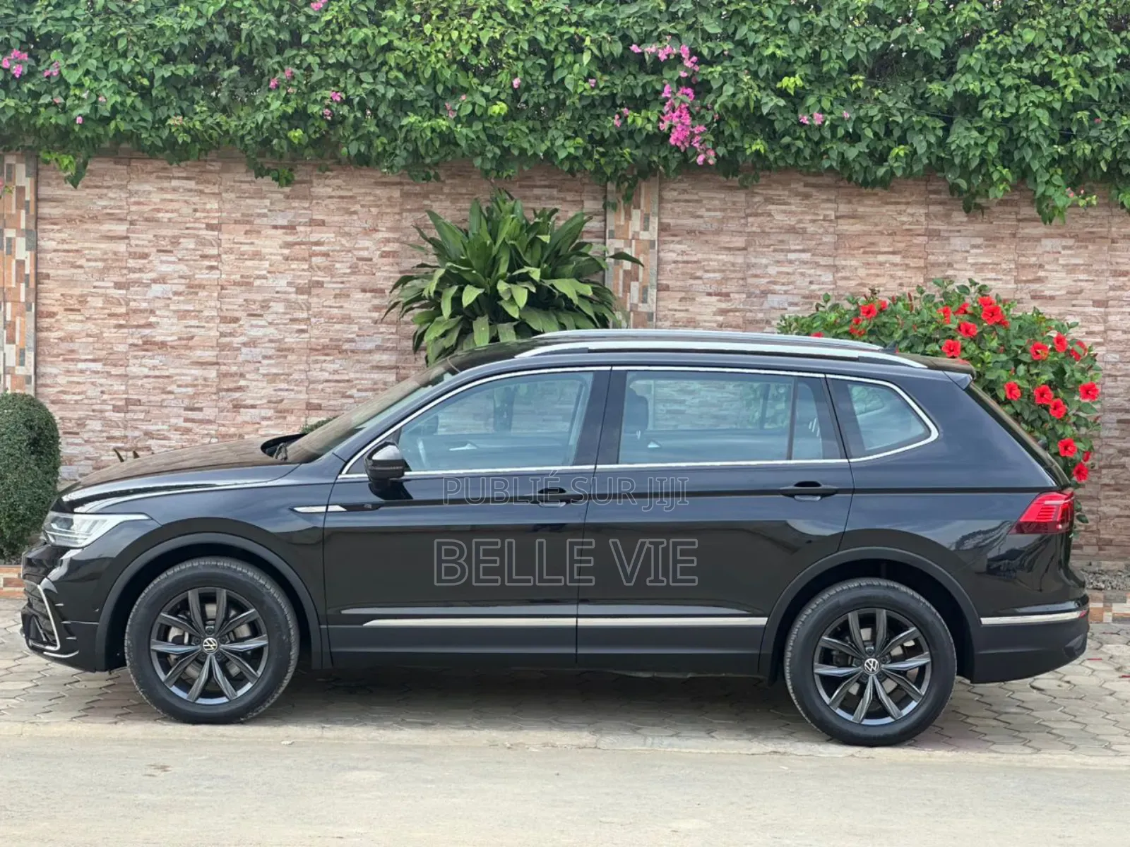 Volkswagen Tiguan 2025 Bleu