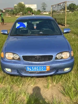 Toyota Corolla 2002 Bleu