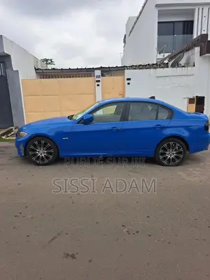 BMW 318i 2009 Bleu