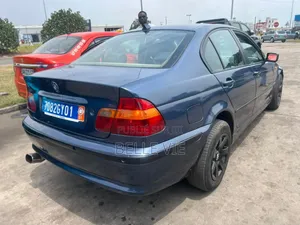 BMW 3 Series 316i RWD 2003 Bleu
