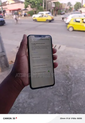 Apple iPhone 11 Pro Max 256 GB Doré