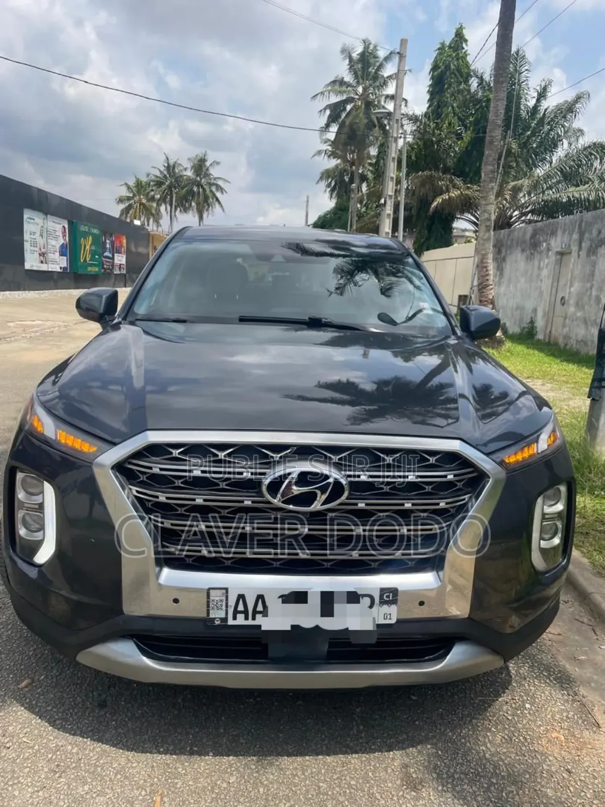 Hyundai Palissade 2020 Gris