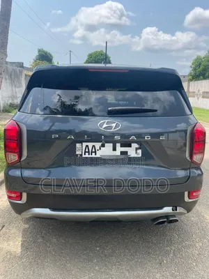 Hyundai Palissade 2020 Gris