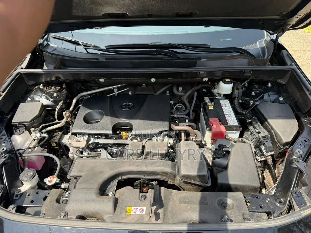 Toyota RAV4 LE 2025 Noir