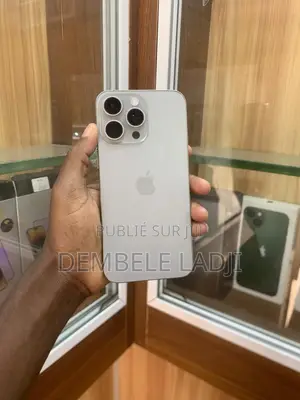 Apple iPhone 15 Pro Max 256 GB Gris