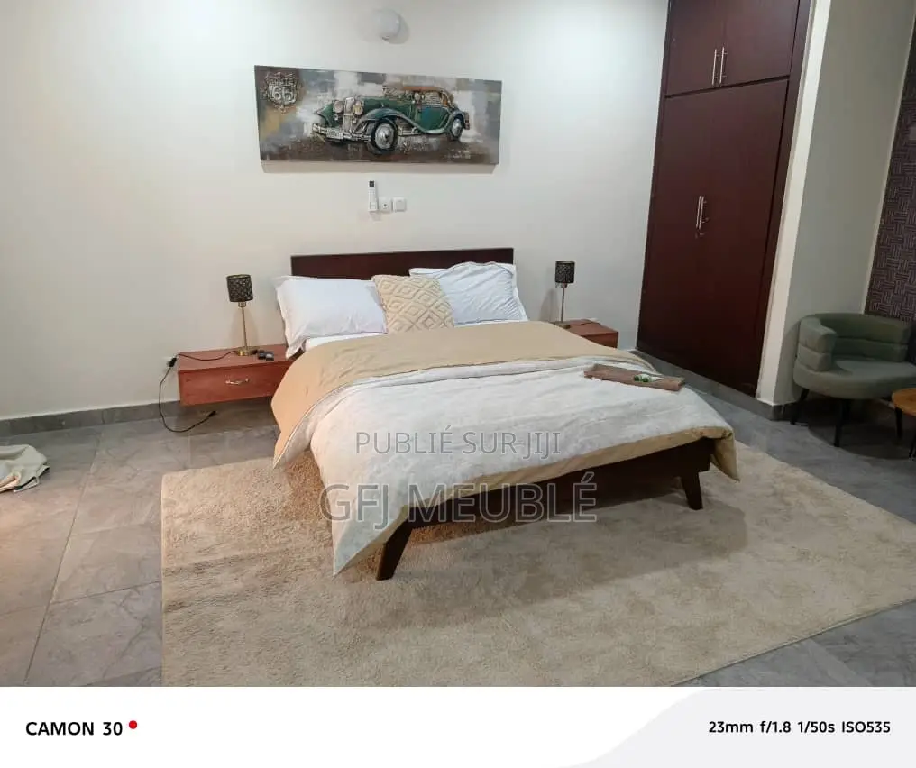 Furnished 1chbre Appartement dans Gfj Meublé, Deux Plateaux à Louer