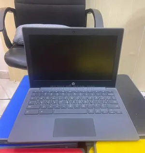 Nouveau Ordinateur portable HP Chromebook X360 4GB Autre SSD 32GB