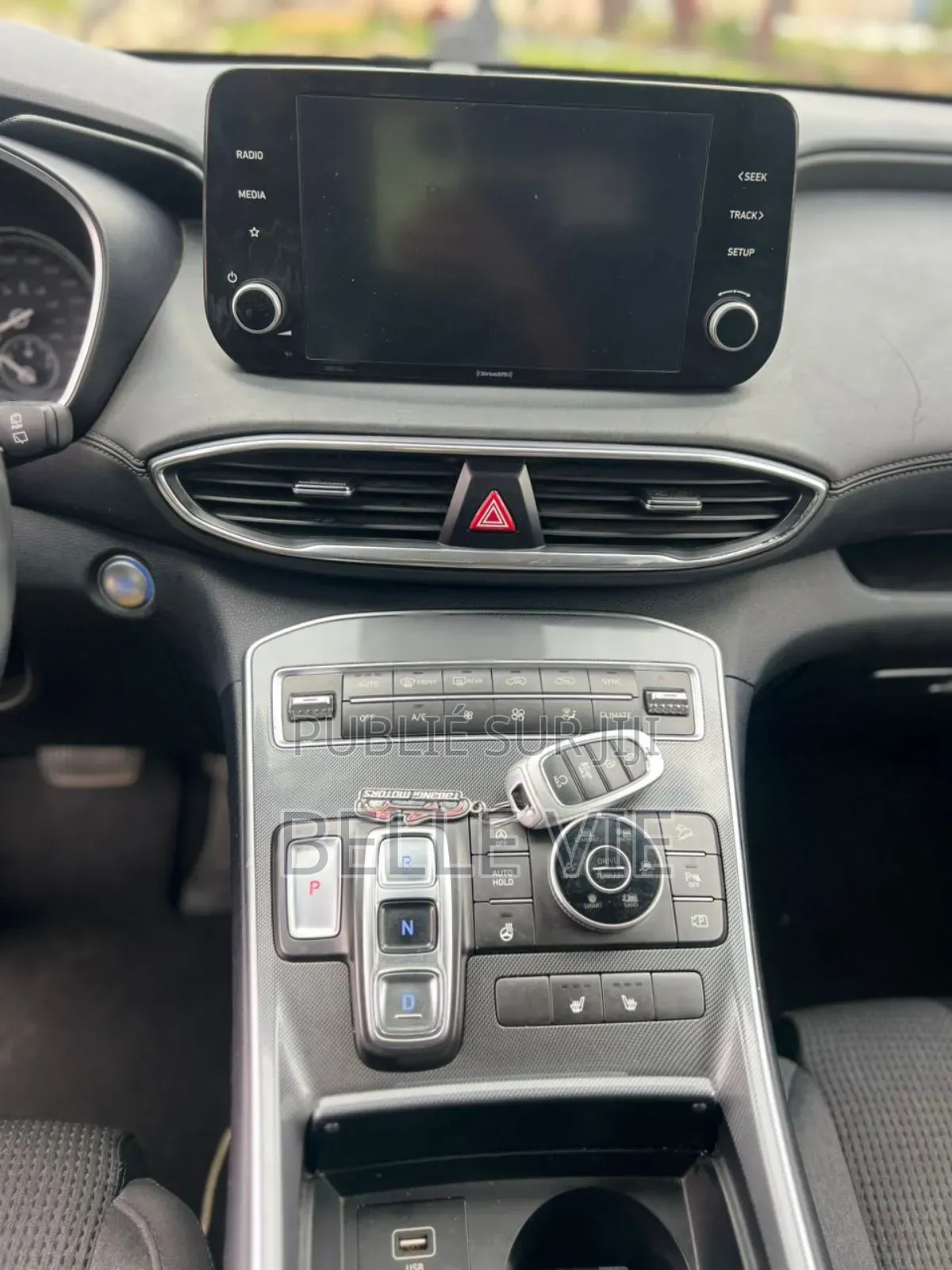 Hyundai Santa Fe 2022 Rouge