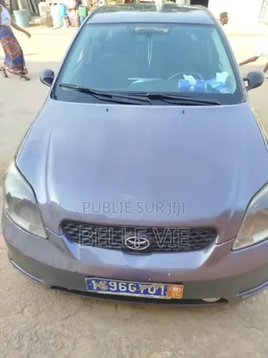 Toyota Matrix 2010 Beige