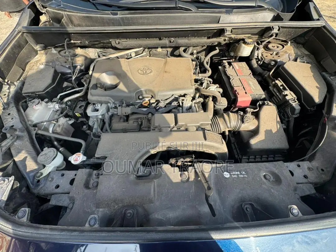 Toyota RAV4 2021 Bleu