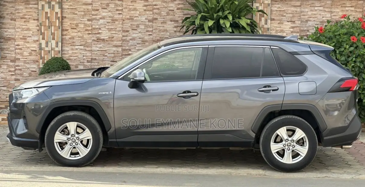 Toyota RAV4 2022 Gris
