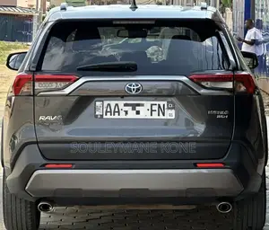 Toyota RAV4 2022 Gris