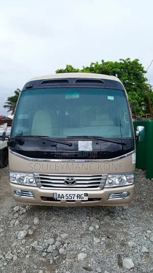 Toyota Sous-verre 2020 Gris