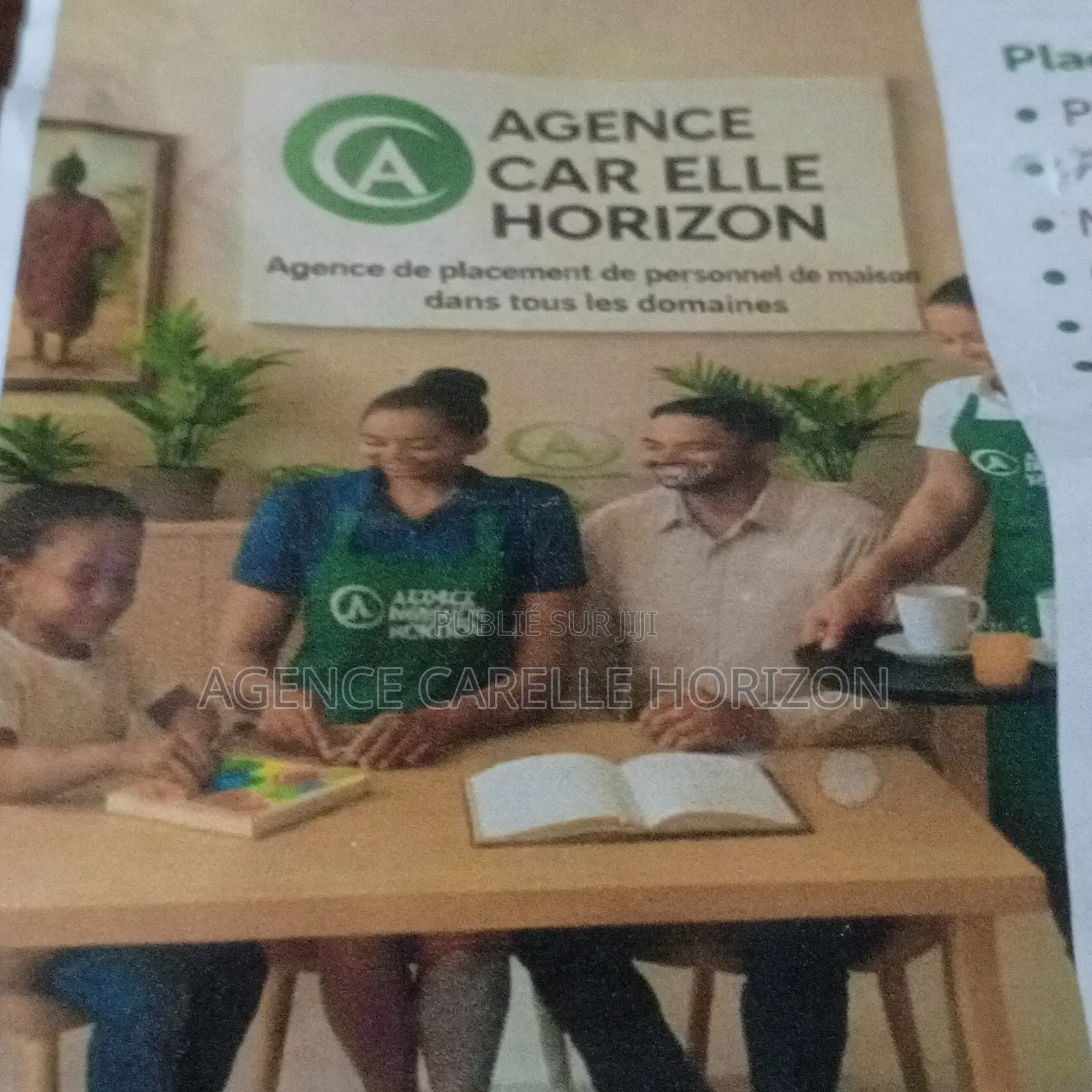 Placement De Nounous, Ménagères Et Chauffeurs De Qualité Conseil : Ce